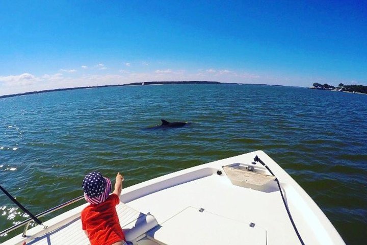 Private Hilton Head Dolphin Watching Tour With Waterfront Dining Stops - thumb 0