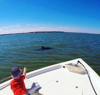 Private Hilton Head Dolphin Watching Tour with Waterfront Dining Stops - Accommodation Arizona