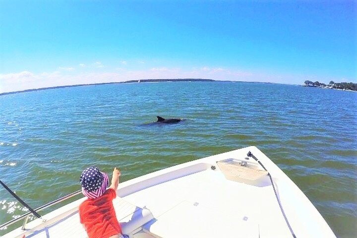 Private Hilton Head Dolphin Watching Tour With Waterfront Dining Stops - thumb 1