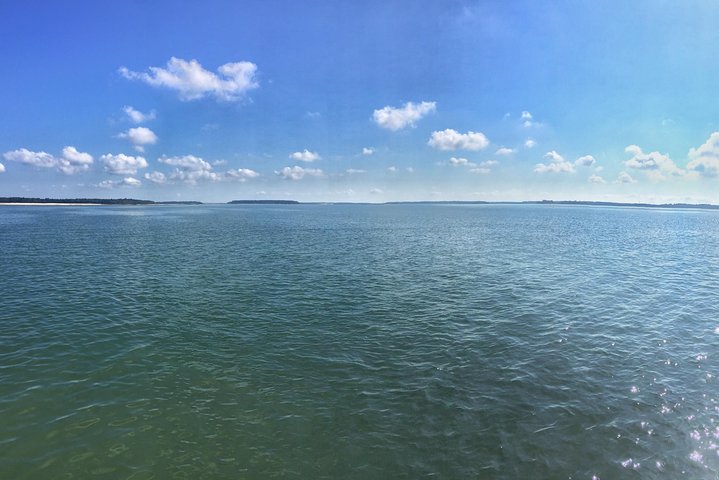 Private Hilton Head Dolphin Watching Tour With Waterfront Dining Stops - thumb 3