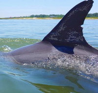 Hilton Head Jet Ski Adventure - Accommodation Arizona