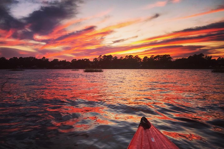 2-Hour Guided Kayak Nature Tour Of Hilton Head - thumb 2