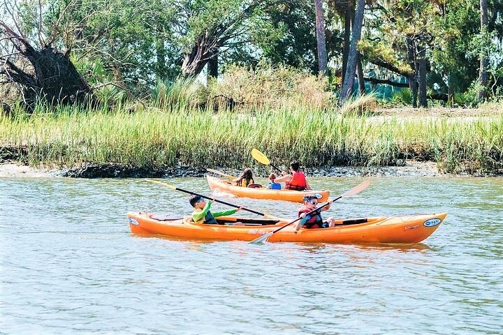 2-Hour Guided Kayak Nature Tour Of Hilton Head - thumb 3
