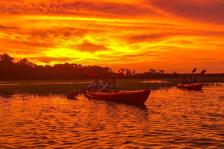 2-Hour Guided Kayak Nature Tour Of Hilton Head - thumb 4