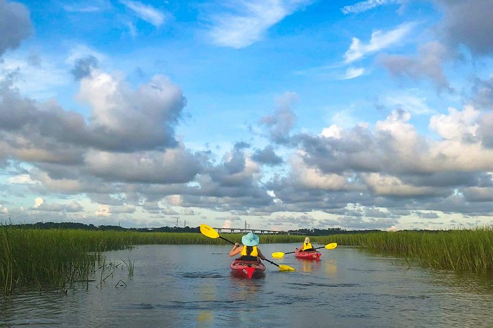 2-Hour Guided Kayak Nature Tour Of Hilton Head - thumb 5