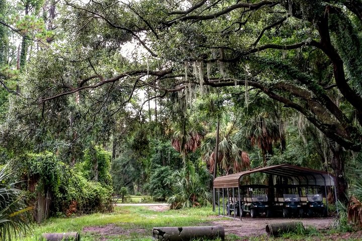 Daufuskie Island Guided History Tour From Hilton Head - thumb 2