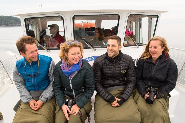Whale Watching From Friday Harbor - thumb 1