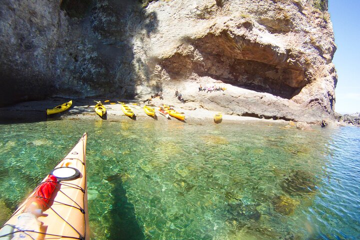 Half-Day Sea Kayaking Trip Near Olympic National Park - thumb 5