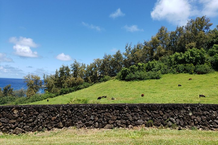 Road To Hana Day Trip - thumb 0