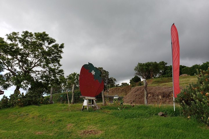 Road To Hana Day Trip - thumb 4