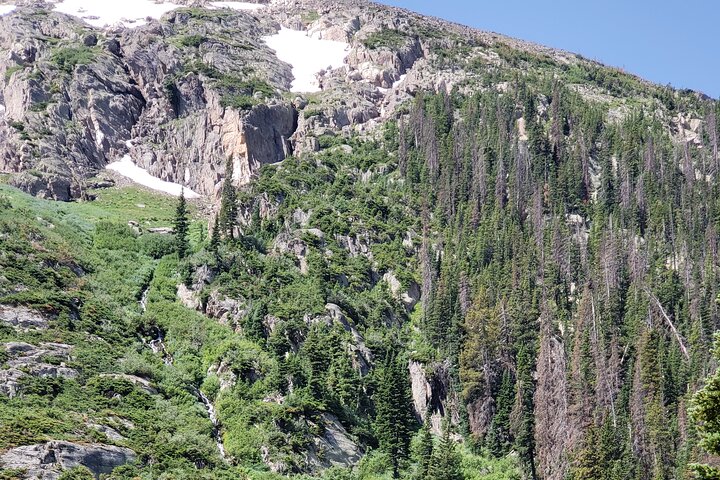 Private Three Hour Afternoon Custom Tour Of Rocky Mountain National Park - thumb 4