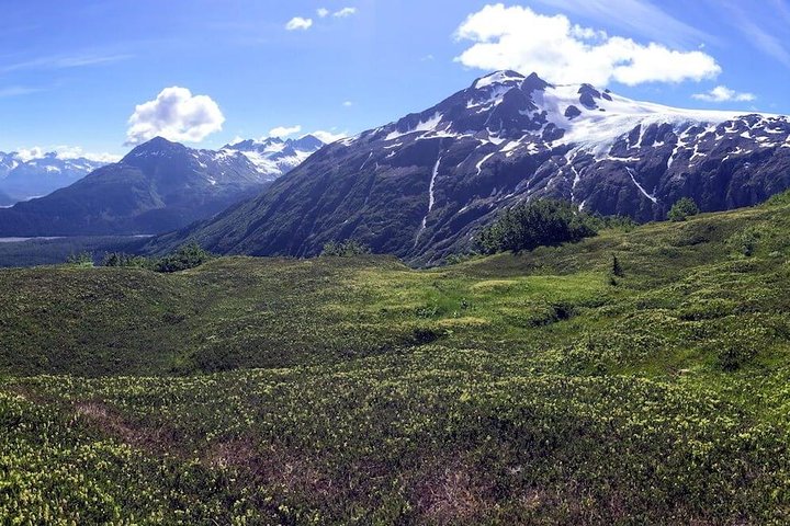 Harding Icefield Hiking Adventure - thumb 0