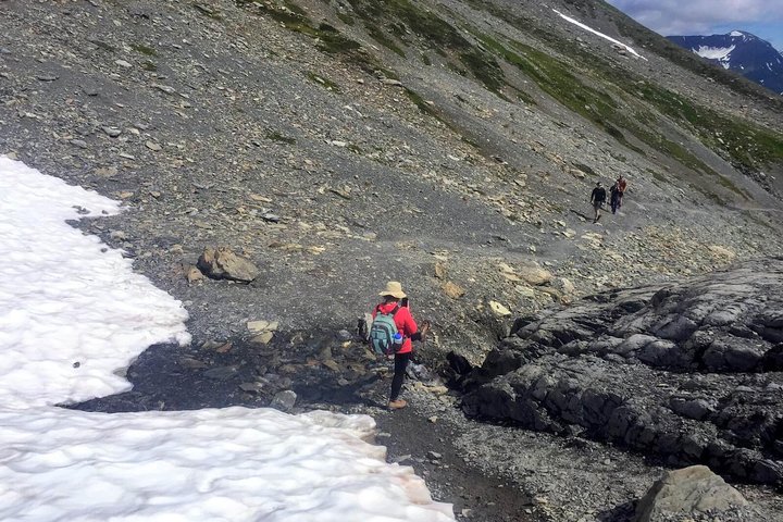 Harding Icefield Hiking Adventure - thumb 2