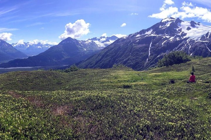 Harding Icefield Hiking Adventure - thumb 4