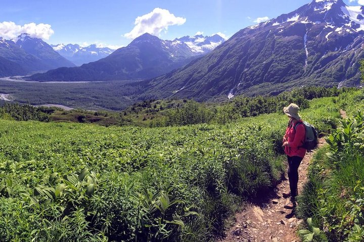 Harding Icefield Hiking Adventure - thumb 5