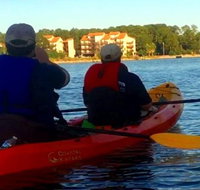 Dolphins and Wildlife Kayak Experience from Gulf Shores - Accommodation Arizona