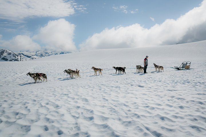Helicopter And Glacier Dog Sledding Tour From Seward - thumb 0