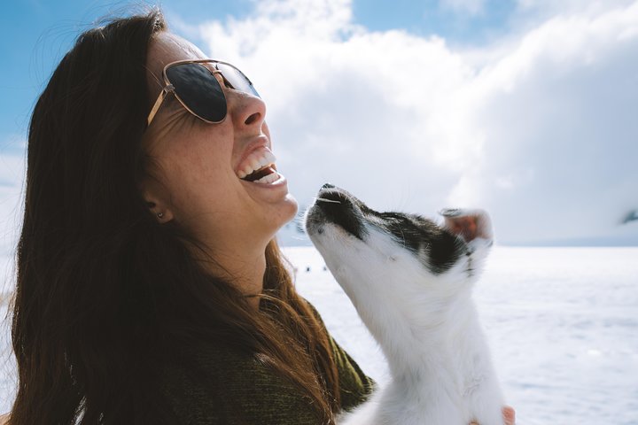 Helicopter And Glacier Dog Sledding Tour From Seward - thumb 1