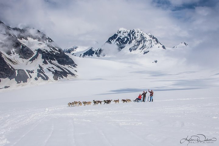 Helicopter And Glacier Dog Sledding Tour From Seward - thumb 4